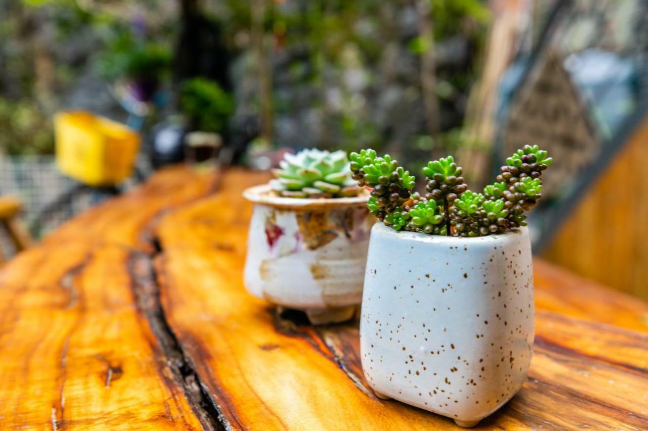Sure I Do全景山宿 Dương Sóc Ngoại thất bức ảnh